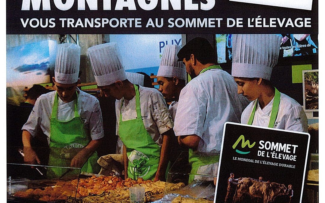 Le Bus des montagnes vous transporte au sommet de l’élevage