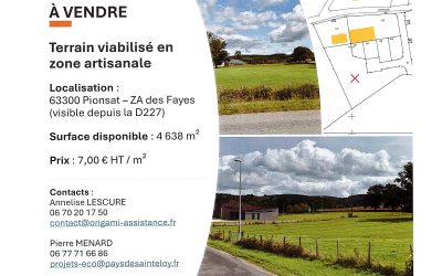 TERRAIN A VENDRE A PIONSAT