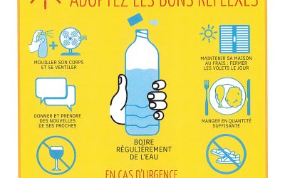 Canicule : Adoptez les bons gestes